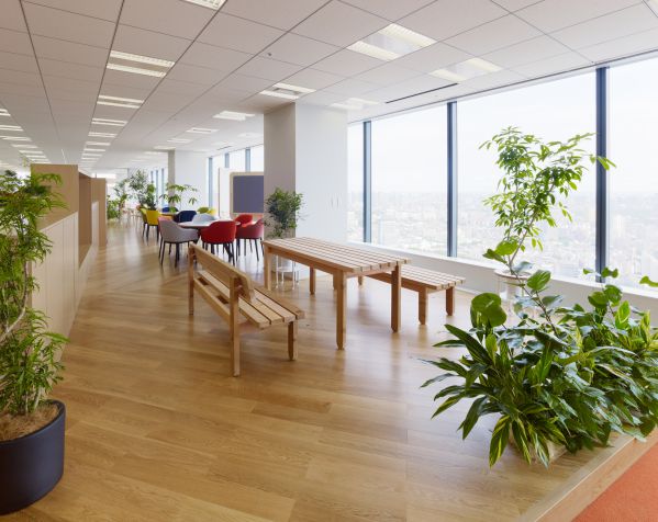 辦公室裝修時(shí)需要兼顧到哪些問題？